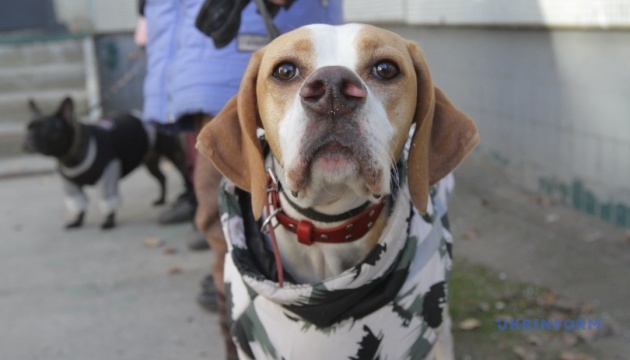 630_360_1768843369-640