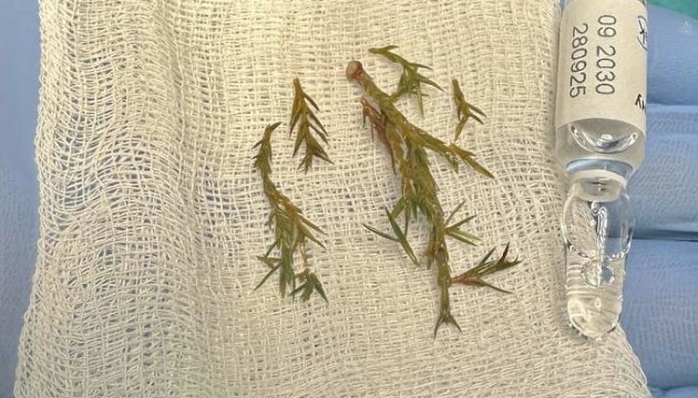 У Львові лікарі витягнули з дихальних шляхів немовляти гілочку ялинки