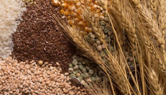 Китай став провідним імпортером ріпакового шроту з України