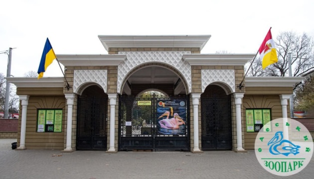 В Одеському зоопарку заарештували майно - адміністрація закладу заявляє про тиск зоозахисників