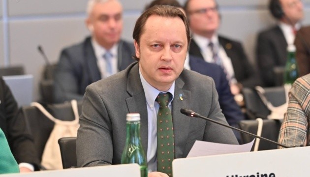 Україна в ОБСЄ закликала відреагувати на енергоцид Росії конкретною допомогою