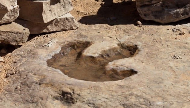 Паливо з диму, «Shazam» для динозаврів і український ШІ-робот, що бере окупантів у полон  
