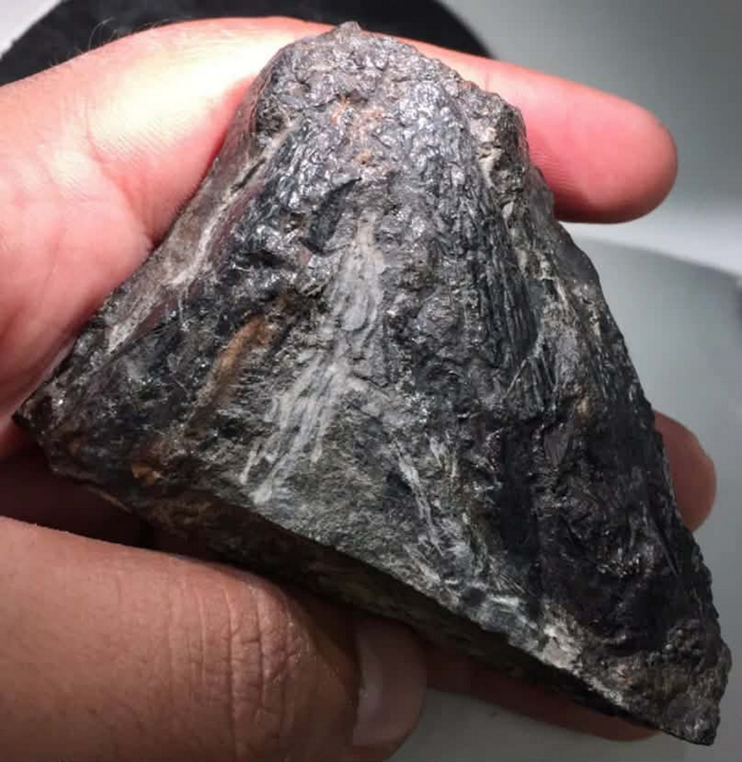 Фото: Arjan Mann