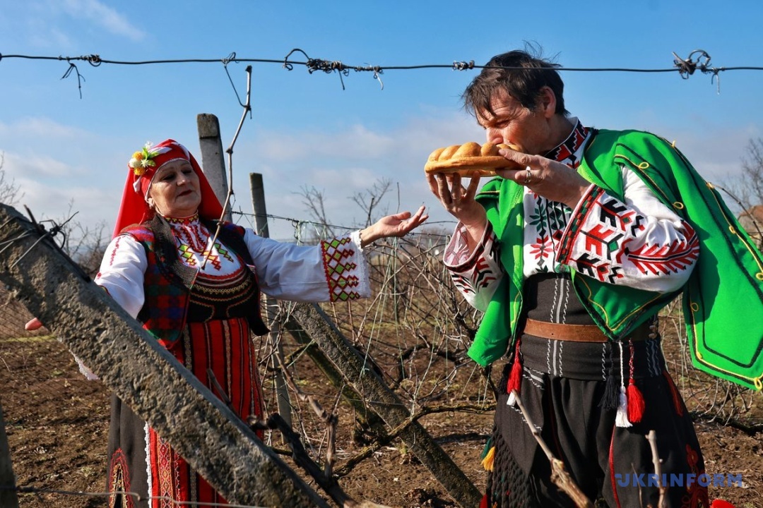 Фото: Ніна Ляшонок