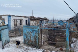 Дрон РФ зруйнував будинок у Веселому Гаї на Запоріжжі: загинула жінка, ще одна поранена