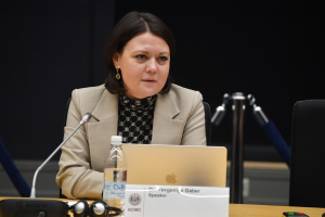 Туреччина наполягає на дотриманні територіальної цілісності України, включно з Кримом - експертка