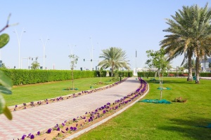 Українська громада розширила «Український парк» в Абу-Дабі