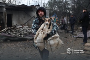 Росіяни вдарили по собачому притулку у Запоріжжі - є вбиті й поранені тварини