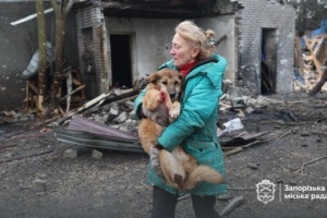 Rusos atacan un refugio para perros en Zaporiyia, matando e hiriendo a animales