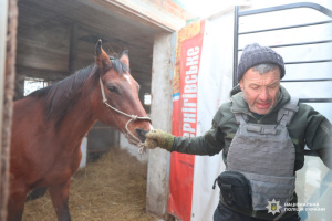 На Харківщині поліція та волонтери евакуюють коней, яких кинув власник у 2022 році