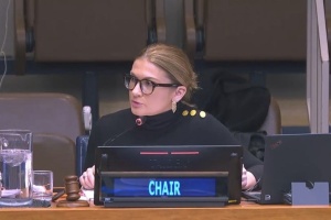 Україна вперше очолила Комісію ООН з питань соціального розвитку