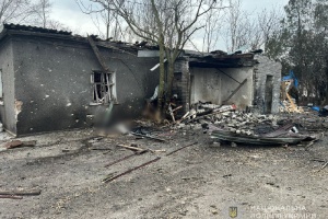 У Запоріжжі внаслідок ворожої атаки по притулку загинули 15 собак