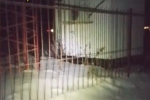 Партизани вивели з ладу об'єкт зв'язку у Білгородській області РФ