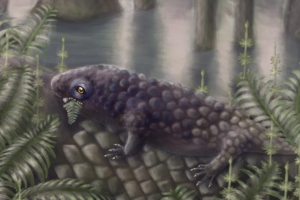 У Канаді виявили череп однієї із найдавніших рослиноїдних істот віком 307 мільйонів років