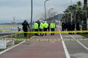 У Туреччині знайшли на пляжі російський БПЛА