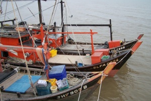 Японія уперше з 2022 року затримала китайське рибальське судно та заарештувала його капітана