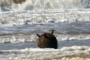 À cause de la guerre, l’Ukraine a perdu plus de 272 000 hectares d’aires marines protégées