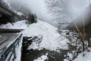 У Швейцарії пасажирський потяг зійшов з рейок через лавину