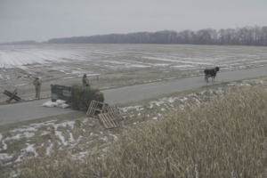 Український фільм «Війна очима тварин» з Шоном Пенном вийде в прокат у Північній Америці