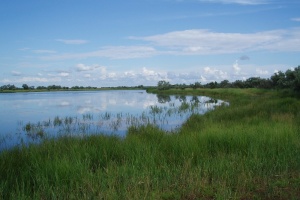 На Херсонщині повернули державі 2,24 га земель нацпарку «Нижньодніпровський»