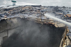 На Харківщині внаслідок російської атаки на ферму загинули 100 свиней