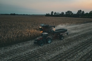 Як зерно з окупованих територій «перефарбовують» у російсько-білоруське