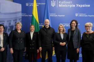 Шмигаль розповів делегації Сейму Литви про потреби українських енергетиків