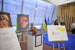 У Раді Європи відкрили українську виставку «Дякую серцем»