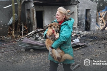 L’armée russe frappe un refuge pour animaux à Zaporijjia, faisant quinze morts parmi les animaux