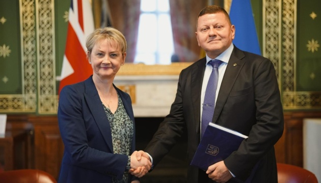Залужний обговорив із главою МЗС Британії безпеку та енергетичну підтримку України