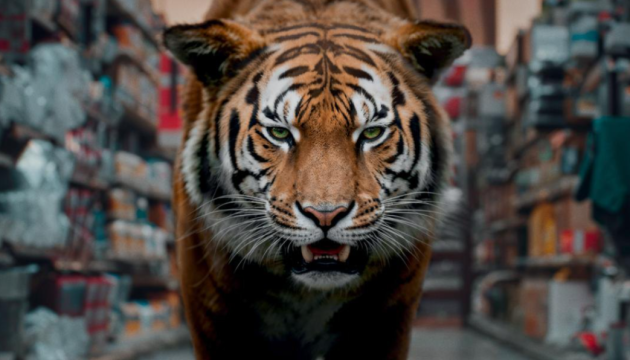 У Швеції відбулася премʼєра стрічки «Ейфорія», частково знятої в Україні