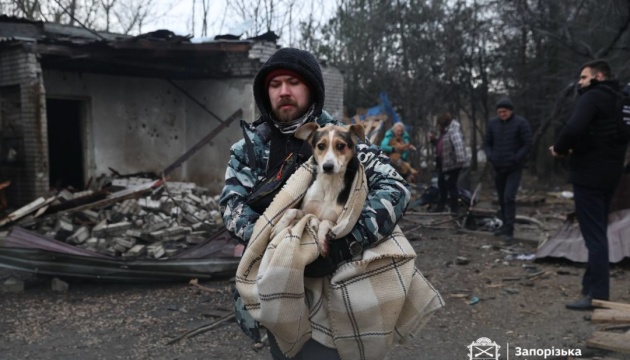Росіяни вдарили по собачому притулку у Запоріжжі - є вбиті й поранені тварини