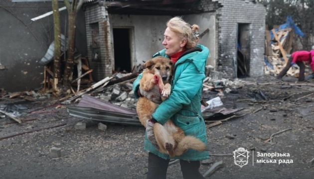 Rusos atacan un refugio para perros en Zaporiyia, matando e hiriendo a animales