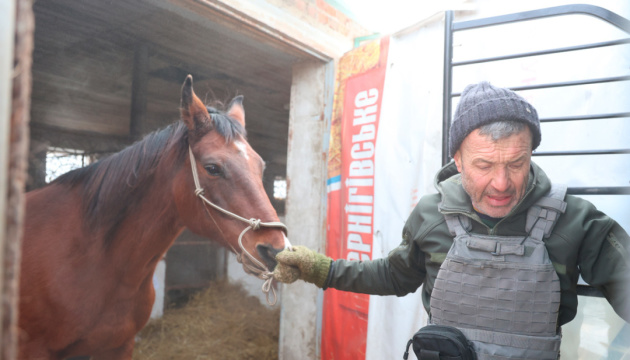 На Харківщині поліція та волонтери евакуюють коней, яких кинув власник у 2022 році