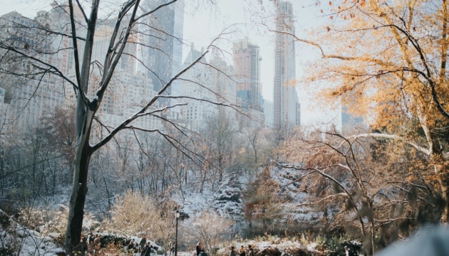 Через аномальний холод у Нью-Йорку загинули 18 людей