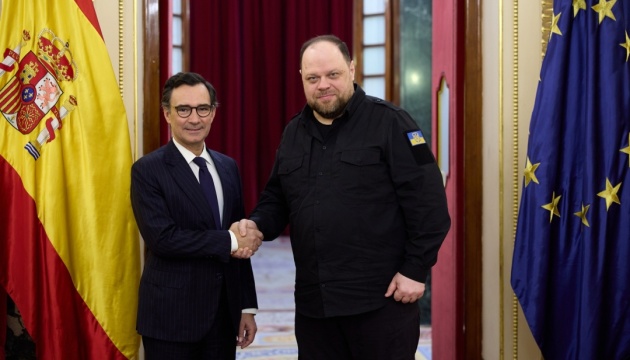 Стефанчук у Мадриді зустрівся з президентом ПА НАТО - говорили про справедливий мир для України