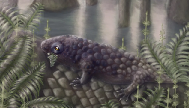 У Канаді виявили череп однієї із найдавніших рослиноїдних істот віком 307 мільйонів років