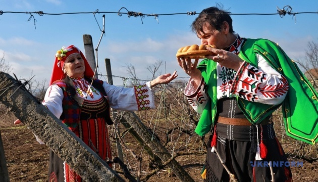Свято залюблених у вино: Трифонів день у Бессарабії