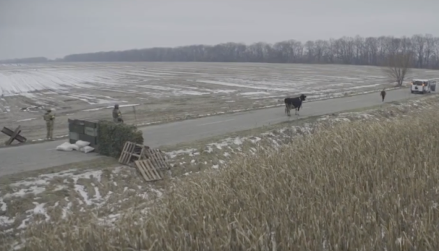 Український фільм «Війна очима тварин» з Шоном Пенном вийде в прокат у Північній Америці