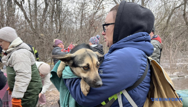 Мешканці Кропивницького забрали на перетримку понад 300 тварин із затопленого притулку