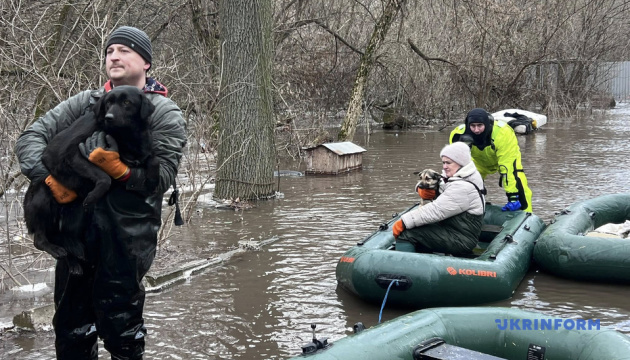 Волонтерка - про затоплення притулку у Кропивницькому: Було б десятки смертей, якби люди не порозбирали тварин