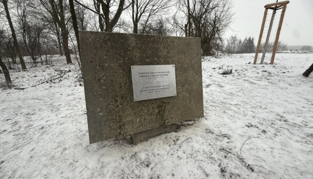 У Чехії з'явилася вулиця на честь закарпатського містечка Перечин