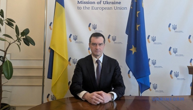 Ченцов: Поетапний вступ України в ЄС - не компроміс, а прагматичний інструмент