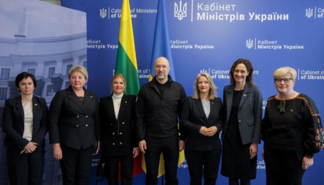 Шмигаль розповів делегації Сейму Литви про потреби українських енергетиків