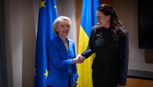 ЄС надає Україні €100 мільйонів енергетичної допомоги - Свириденко