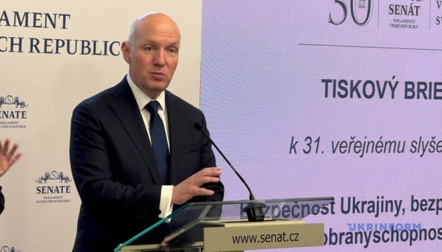 Чеський сенатор: Росія не може терпіти поруч успішного сусіда