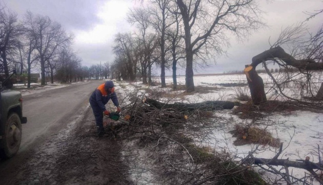 У Чернівецькій області буревій повалив на автошляхи десятки дерев