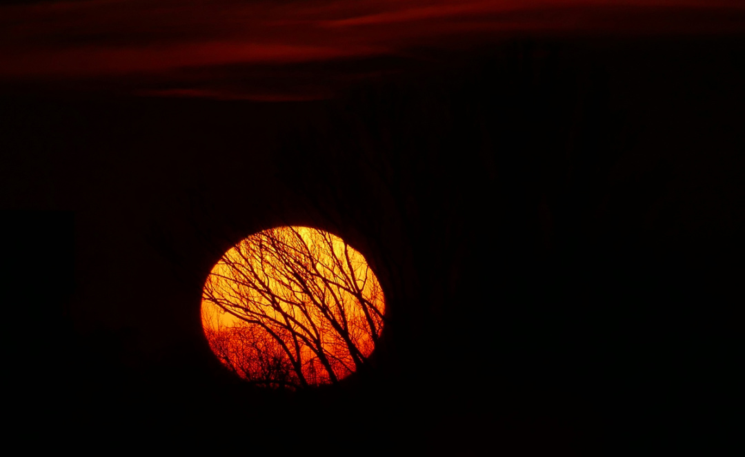 Фото: Юлій Зозуля