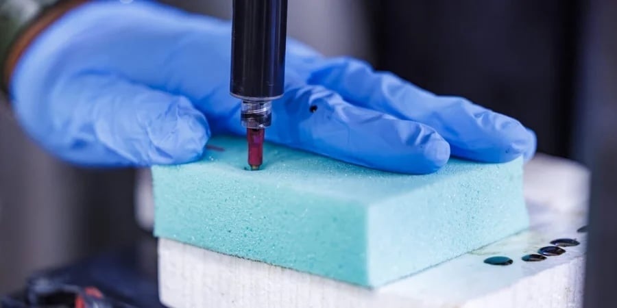 Фото: Техаський A&M.