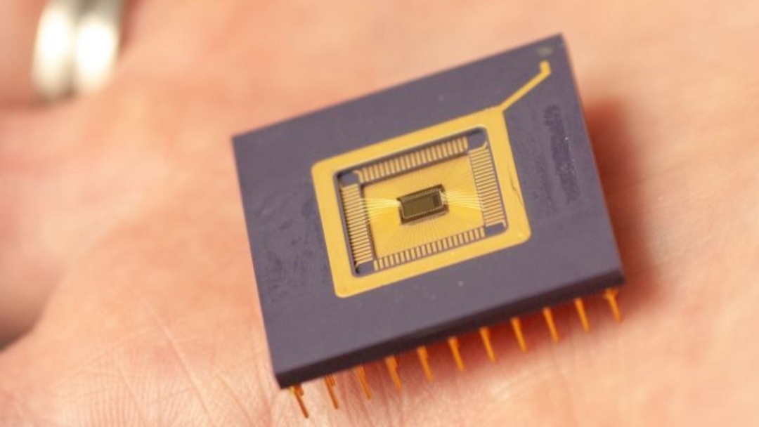 Фото: alamy.com.